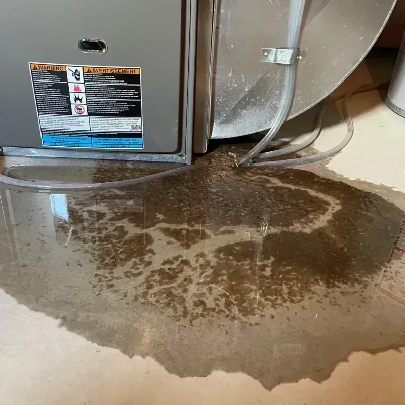 Appliance Leak Cleanup in Gilmer County, WV